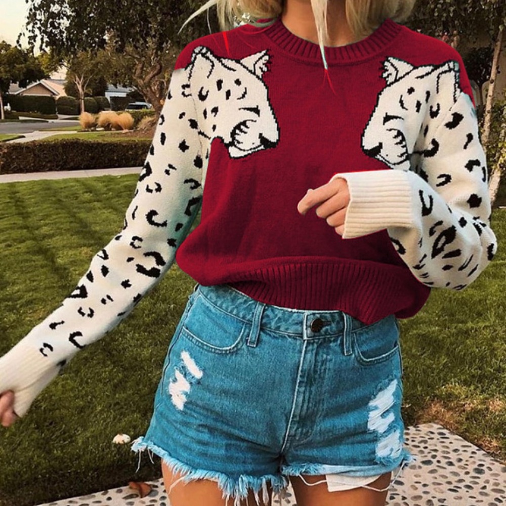 Cheetah Print Sweater